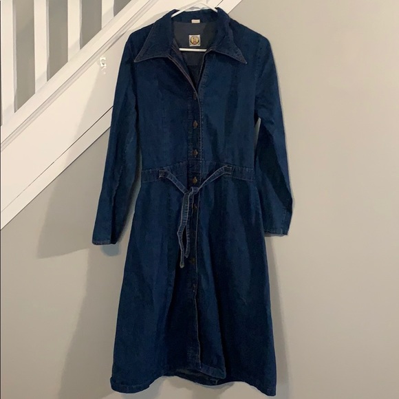 Vintage Rumble Seats Denim Dress by Wilkins - Picture 2 of 6